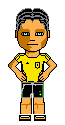 Bild:wsgtrikot1.png